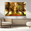 Sunshine in Forest and Trees Wall Art Canvas Print by MyGreatCanvas | Canvas Wall Art Prints | Photo Prints & Wall Decor