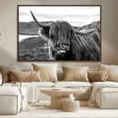 Longhorn Steer Canvas Print Wall Art, Highland Cow Canvas by MyGreatCanvas | Canvas Wall Art Prints | Photo Prints & Wall Decor