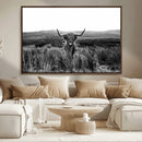 Black and White Highland Cow Canvas Wall Art, Longhorn by MyGreatCanvas | Canvas Wall Art Prints | Photo Prints & Wall Decor