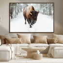 Bison Wall Art Canvas Print For Farmhouse, Animal Canvas