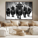 American Bison Art | Buffalo Herd Wall Art Canvas Print, BW