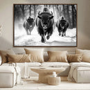 Buffalo Wall Art Canvas Print, Bison Family Wall Art Canvas by MyGreatCanvas | Canvas Wall Art Prints | Photo Prints & Wall Decor
