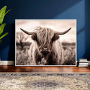 Scottish Cow Longhorn Wall Art Canvas Print