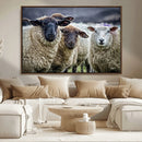 Charming Sheep Portrait Wall Art – Trio of Woolly Companions by MyGreatCanvas | Canvas Wall Art Prints | Photo Prints & Wall Decor
