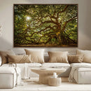 Ancient Angel Oak Tree Art Sunburst Canvas Print-