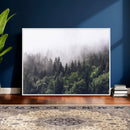 Misty Forest Wall Art | Foggy Forest Canvas Print | Large