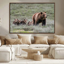 Wildlife Photography of 399 Grizzly Bear Cubs | Queen of the