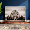 Grizzly Bear Wall Art Print - Bear Canvas Wall Art - Rustic