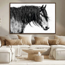 Majestic Horse Wall Art – Framed Black White Portrait Canvas by MyGreatCanvas | Canvas Wall Art Prints | Photo Prints & Wall Decor
