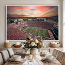 Indiana Memorial Stadium Wall Art Canvas Print, Framed