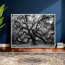 Black and White Old Angel Oak Tree Wall Art Canvas Print
