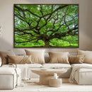 Ancient Tree Wall Art Canvas Print, Framed Sprawling by MyGreatCanvas | Canvas Wall Art Prints | Photo Prints & Wall Decor