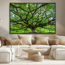 Oak Tree Wall Art Print, Forest Canvas Wall Art for Home and by MyGreatCanvas | Canvas Wall Art Prints | Photo Prints & Wall Decor