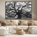 Ancient Oak Wall Art Canvas Print – Gnarled Tree Twisted by MyGreatCanvas | Canvas Wall Art Prints | Photo Prints & Wall Decor