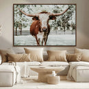 Texas Longhorn Wall Art Canvas Print – Framed Spotted Bull