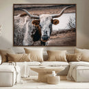 Texas Longhorn Wall Art Canvas Print – Framed Spotted Bull