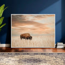 MyCanvas -