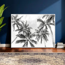 Black and White Palm Wall Art Canvas Print – Framed