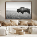 Bison Wall Art Canvas Print – Framed Rustic Wildlife Scene by MyGreatCanvas | Canvas Wall Art Prints | Photo Prints & Wall Decor