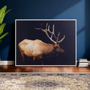 Rustic Elk Wall Art Canvas Print – Framed Moody Wildlife Art by MyGreatCanvas | Canvas Wall Art Prints | Photo Prints & Wall Decor