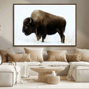 Bison Wall Art Canvas Print – Framed Western Wildlife