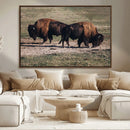 Bison Wall Art Canvas Print – Framed Western Wildlife Modern by MyGreatCanvas | Canvas Wall Art Prints | Photo Prints & Wall Decor
