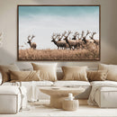 Elk Herd Wall Art Canvas Print – Framed Wildlife Photography