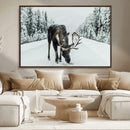 Moose Snow Wall Art Canvas Print – Framed Winter Wildlife