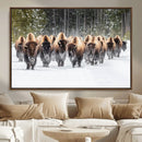 Bison Herd Scene Wall Art Canvas Print – Framed Western by MyGreatCanvas | Canvas Wall Art Prints | Photo Prints & Wall Decor