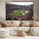 Chicago Bears Soldier Field Wall Art Canvas Print – Framed by MyGreatCanvas | Canvas Wall Art Prints | Photo Prints & Wall Decor