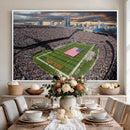 Chicago Bears Soldiers Field Wall Art Canvas Print – Framed