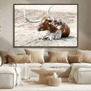 Majestic Longhorn Wall Art Canvas Print – Resting on Sunlit by MyGreatCanvas | Canvas Wall Art Prints | Photo Prints & Wall Decor