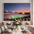 Dooley Stadium Wall Art, Sports Arena Canvas Print, Dooley