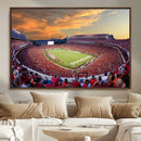 Dooley Stadium Wall Art, Sports Arena Canvas Print, Dooley by MyGreatCanvas | Canvas Wall Art Prints | Photo Prints & Wall Decor