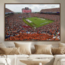 Jordan-Hare Stadium Wall Art Canvas Print, College Sports by MyGreatCanvas | Canvas Wall Art Prints | Photo Prints & Wall Decor