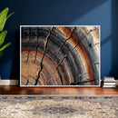 Abstract Tree Ring Wall Art Print – Natural Rustic Wood by MyGreatCanvas | Canvas Wall Art Prints | Photo Prints & Wall Decor