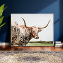 Texas Catle Longhorn Wall Art Canvas Print for Farmhouse by MyGreatCanvas | Canvas Wall Art Prints | Photo Prints & Wall Decor