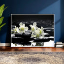Plumeria Frangipani Black Stone Canvas | White Flower Spa by MyGreatCanvas | Canvas Wall Art Prints | Photo Prints & Wall Decor