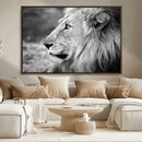 Lion Wall Art Canvas Print – Framed Majestic Wildlife by MyGreatCanvas | Canvas Wall Art Prints | Photo Prints & Wall Decor