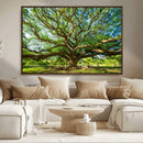 Majestic Oak Tree Wall Art – Serene Nature Canvas Print with