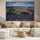 South Carolina Gamecocks Football Team Print - Columbia