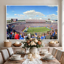 Buffalo Bills NFL Football Team Print - Buffalo Highmark