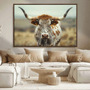 Texas Cow Longhorn Wall Art Canvas Print for Farm House Wall