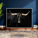 Black Bull Wall Art – Majestic Longhorn Canvas Print with