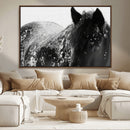 Black Horse in Snow Canvas Print | Winter Horse Wall Art |