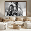 Black and White Horse Winter Wall Art | Ready to Hang and