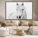 Majestic White Horse Wall Art | Ready to Hang and Framed | by MyGreatCanvas | Canvas Wall Art Prints | Photo Prints & Wall Decor