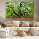Framed Angel Oak Tree Wall Art - 3-Panel Canvas Prints,