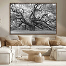 Black White Angel Oak Tree Wall Art - Timeless