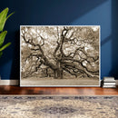 Sepia Framed Angel Oak Tree Wall Art - 3-Panel Canvas